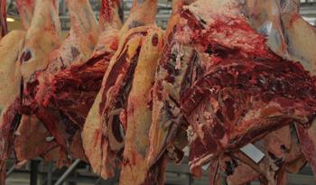 Carne bovina en frigorífico
