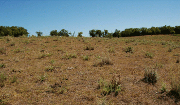 Adaptación al cambio climático Adaptación al cambio climático