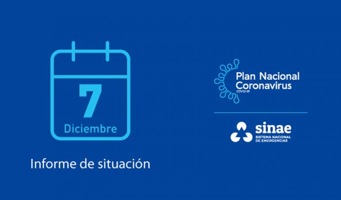 Informe del Sinae