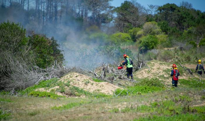 Bomberos trabajan en apagar el fuego en predios arbolados