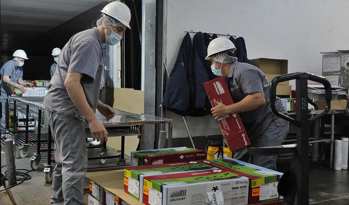 Trabajadores con cajas