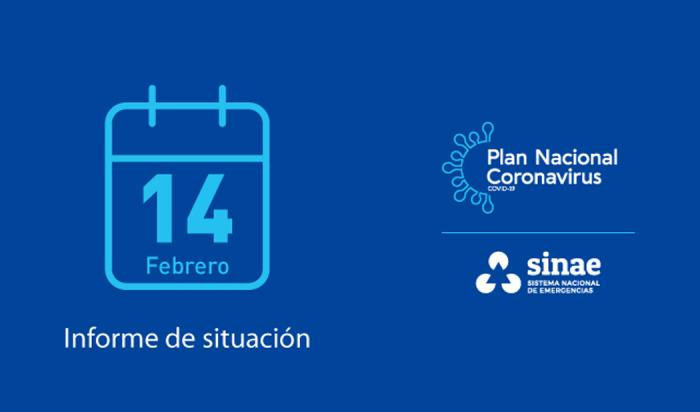 Informe del Sinae