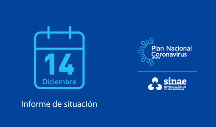 Informe del Sinae