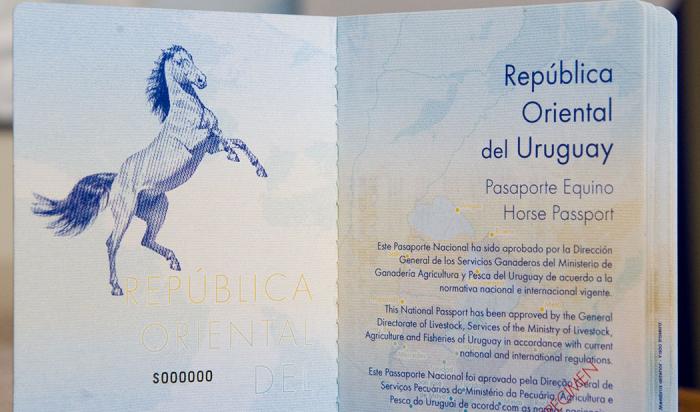 Pasaporte equino