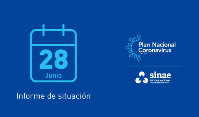 Reporte diario