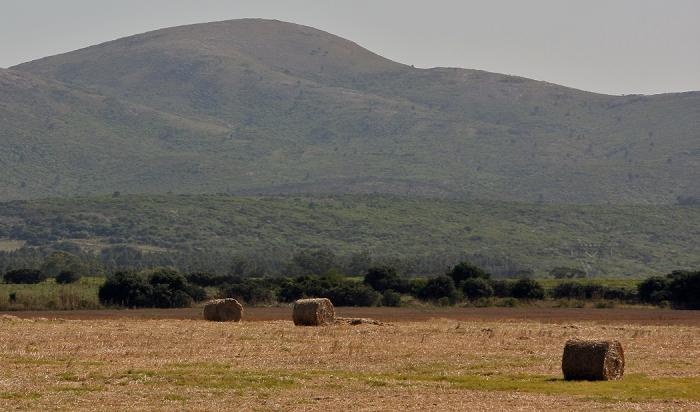 Paisaje de territorio seco