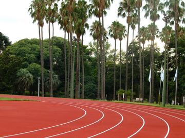 Pista de atletismo