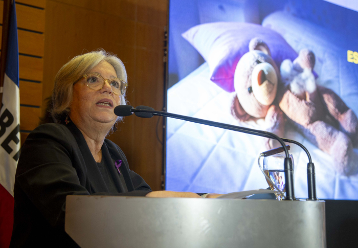 Directora de Inmujeres, Mónica Xavier, habla detrás de un estrado. En el fondo se proyecta una imagen con un oso de peluche roto