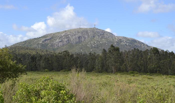 Pan de Azúcar