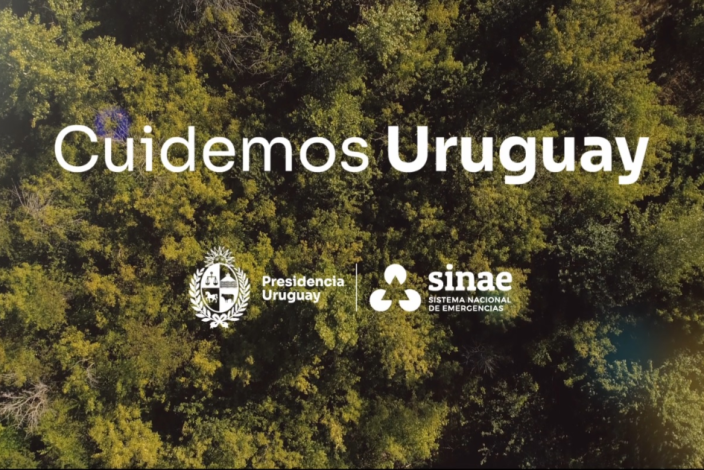 Vista aérea de un monte con la leyenda "Cuidemos Uruguay" y los logos de Presidencia y Sinae