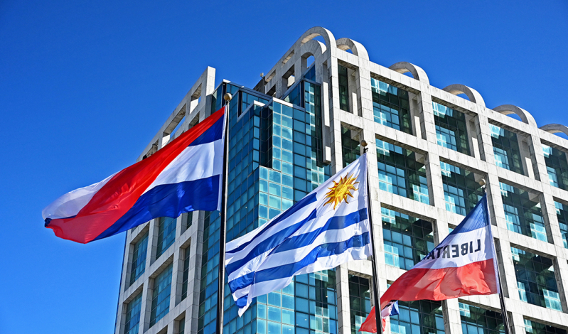 Pabellones patrios en primer plano con la Torre Ejecutiva de fondo