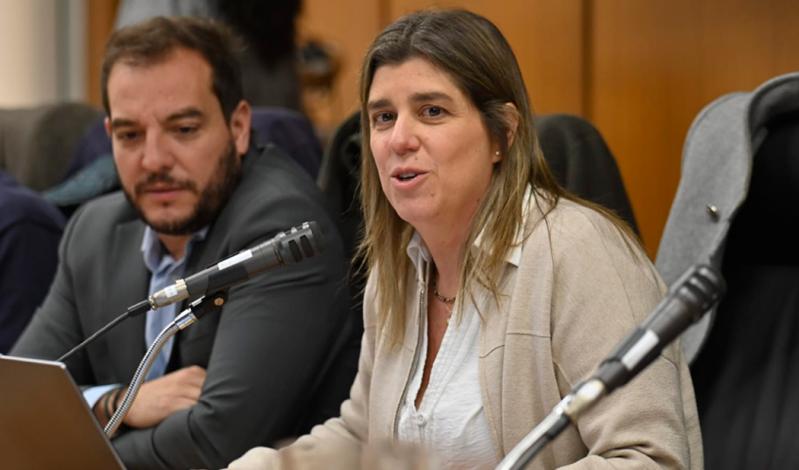 Ministra de Vivienda y Ordenamiento Territorial, Tamara Paseyro, habla ante la Comisión de Vivienda y Territorio de la C