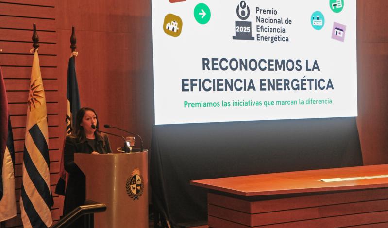 Ministra de Industria, Energía y Minería, Fernanda Cardona, expone ante el auditorio