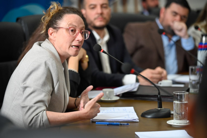 Directora de Ordenamiento Territorial, Paola Florio, habla ante el Congreso de Intendentes. En el fondo, el subsecretari