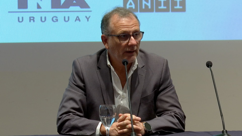 Bruno Gili