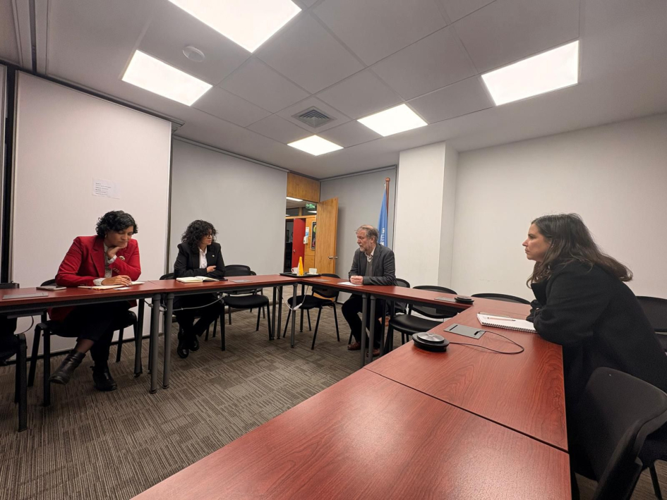  Reunión de trabajo con Jan Jarab Representante del ACNUDH