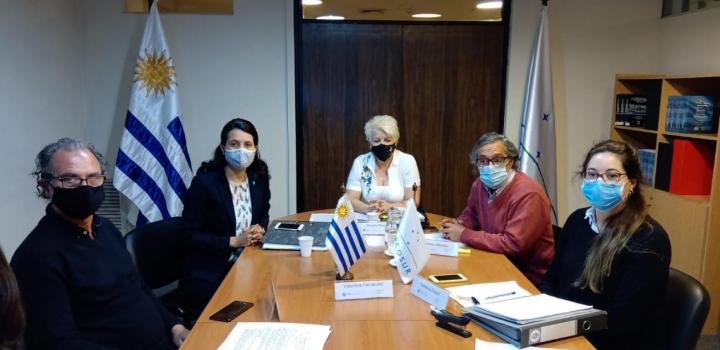 Encuentros Comisiones Permanentes