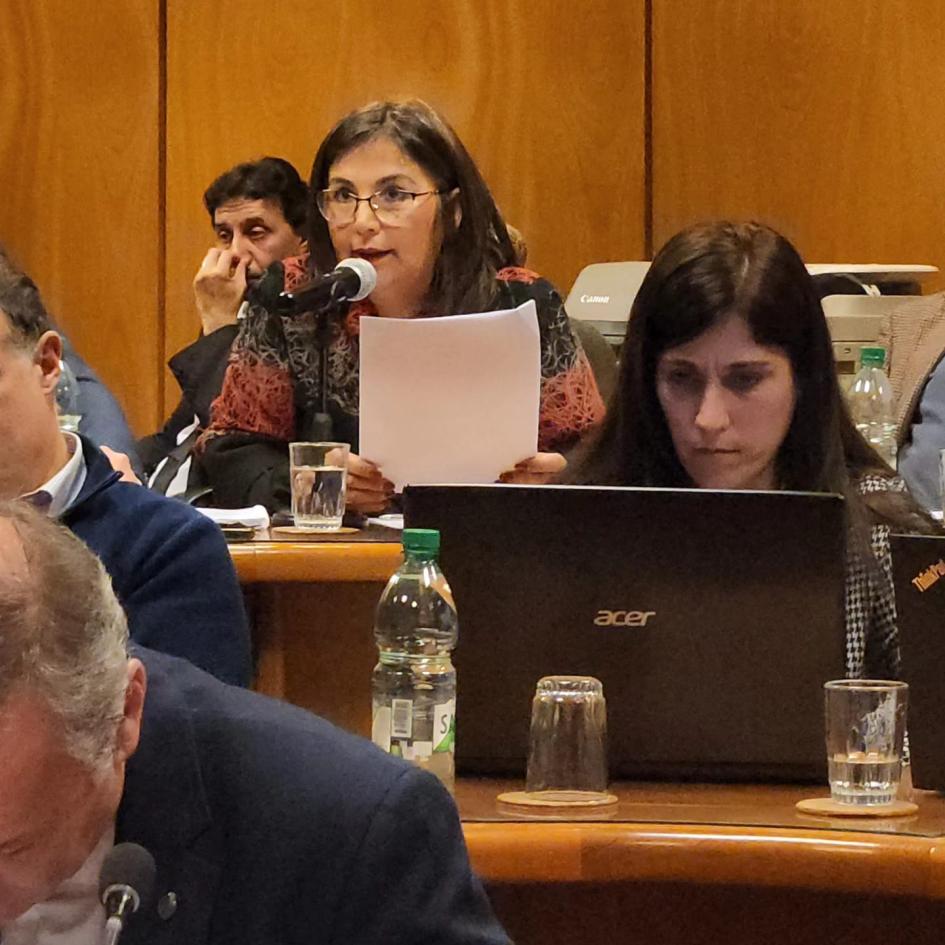 Secretaria de Derechos Humanos Sandra Etcheverry presentando el Plan Nacional de Derechos Humanos Secretaria de Derechos Humanos Sandra Etcheverry presentando el Plan Nacional de Derechos Humanos