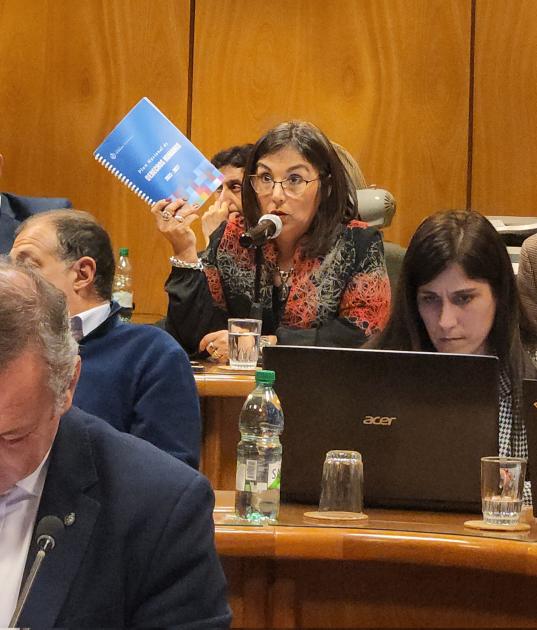 Secretaria de Derechos Humanos Sandra Etcheverry presentando el Plan Nacional de Derechos Humanos Secretaria de Derechos Humanos Sandra Etcheverry presentando el Plan Nacional de Derechos Humanos