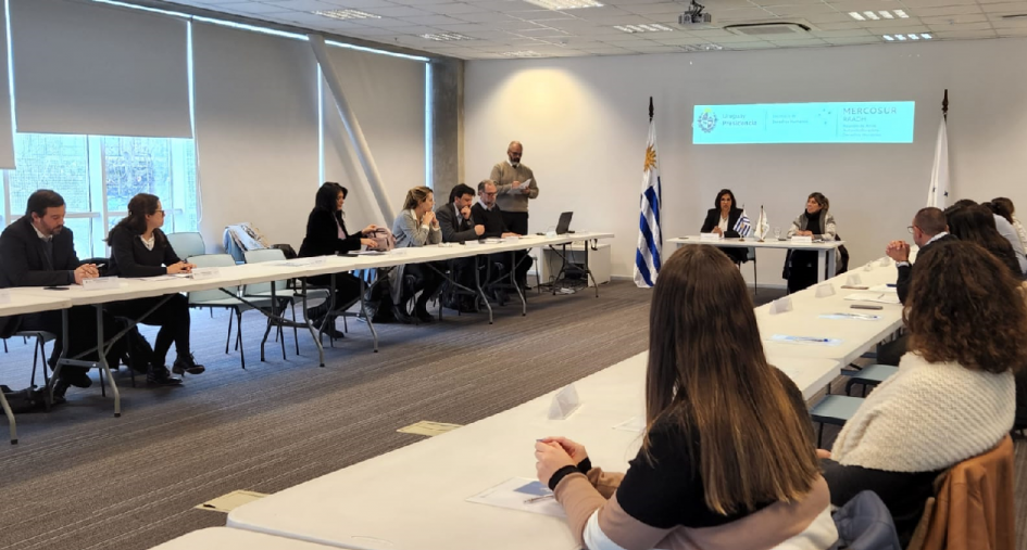 Reunión de la Secretaría de Derechos Humanos con puntos focales de Uruguay Reunión de la Secretaría de Derechos Humanos con puntos focales de Uruguay
