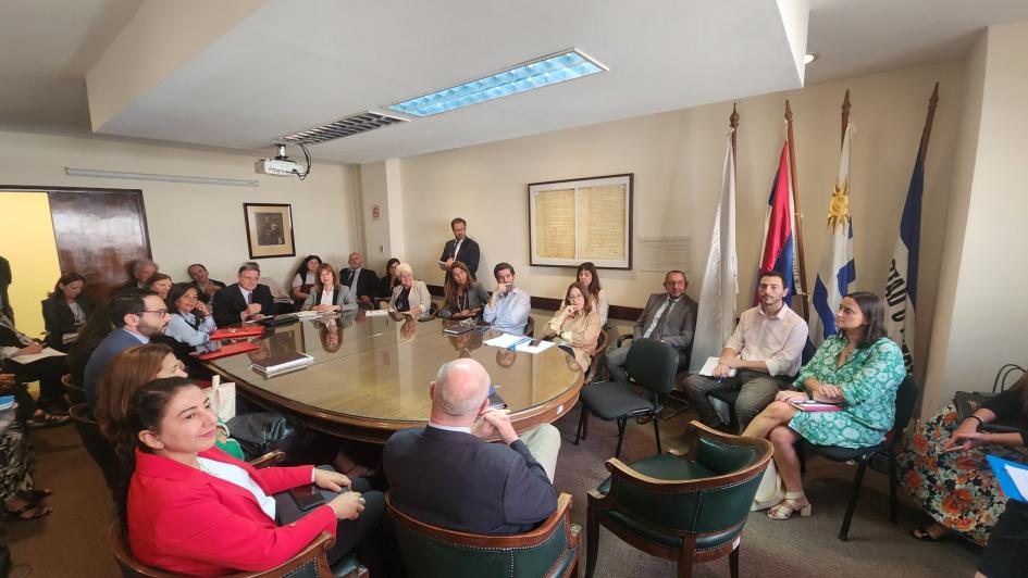 Participantes de la reunión Participantes de la reunión
