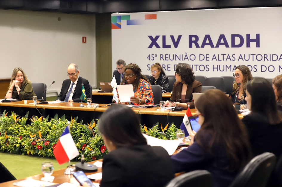 Reunión de Altas Autoridades sobre Derechos Humanos del MERCOSUR