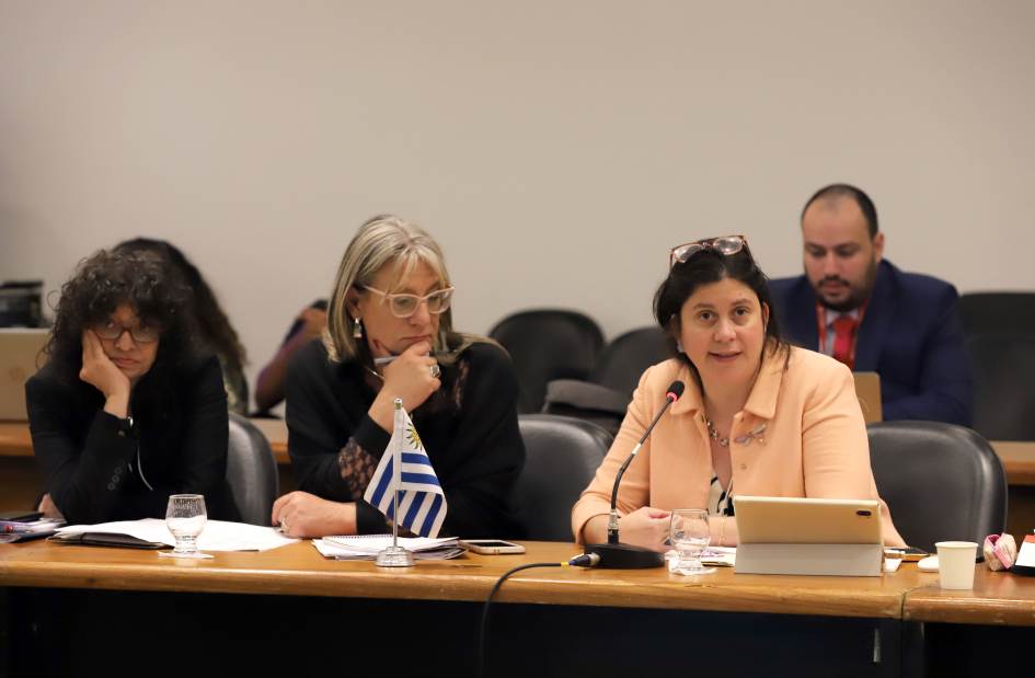 Reunión de Altas Autoridades sobre Derechos Humanos del MERCOSUR