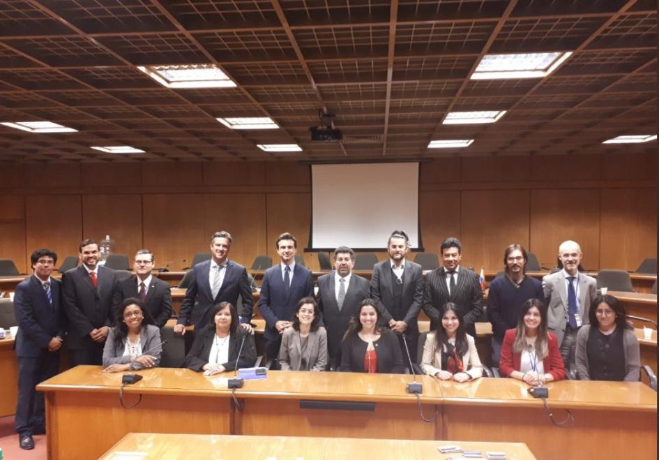 Participantes del plenario de la Reunión de Altas Autoridades en DDHH del Mercosur Participantes del plenario de la Reunión de Altas Autoridades en DDHH del Mercosur