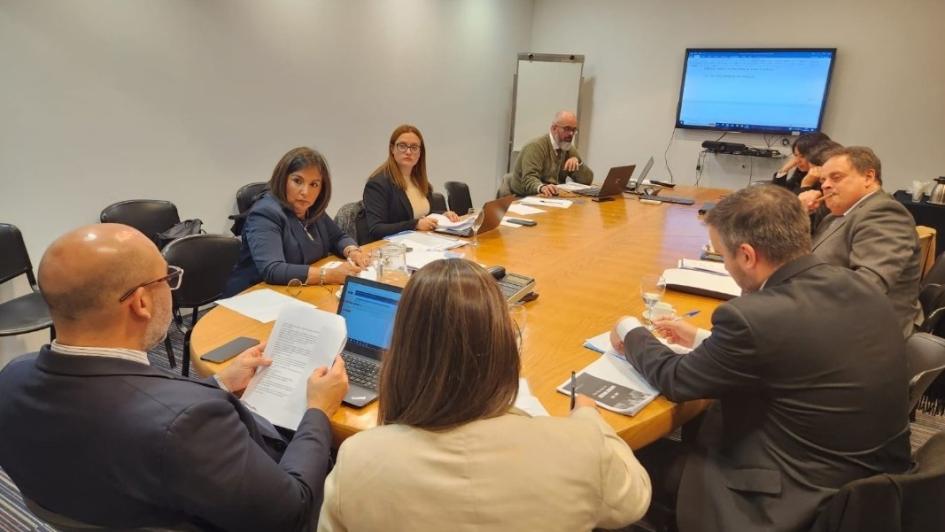 Reunión del Consejo Directivo de la Secretaría de Derechos Humanos