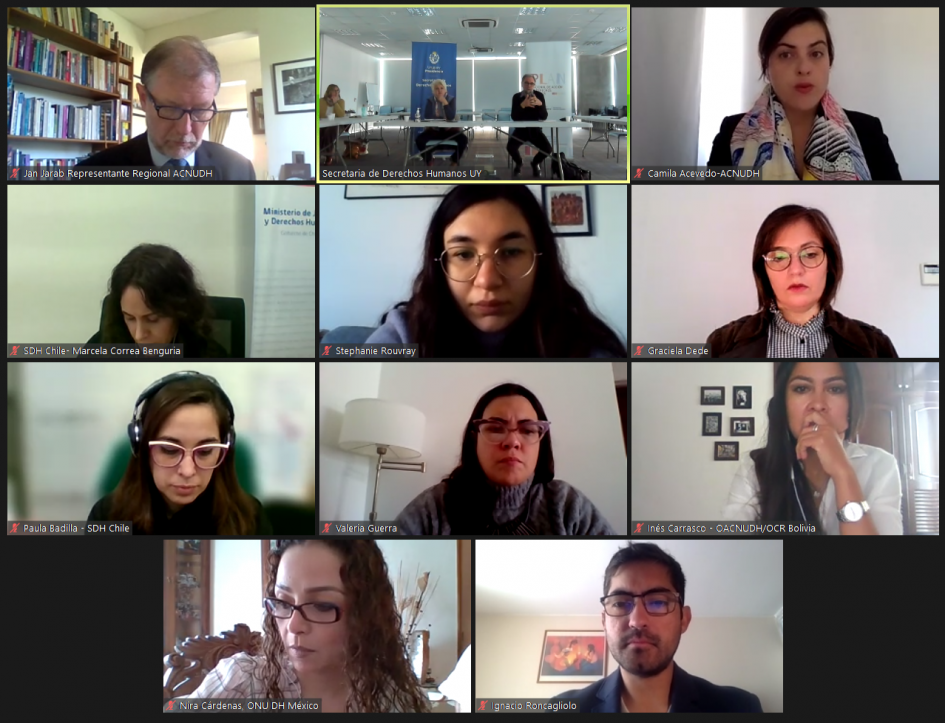 Participantes de la reunión. Imagen zoom con participantes de la reunión.