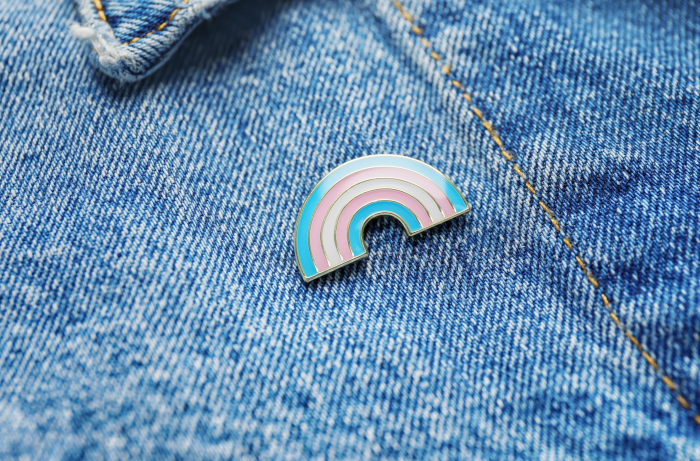 CIDH llama a los Estados a garantizar el derecho a defender derechos de las personas trans