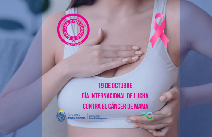 19 de Octubre - Día Internacional de Lucha contra el Cancer de Mama