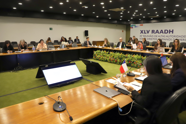 Reunión de Altas Autoridades sobre Derechos Humanos del MERCOSUR