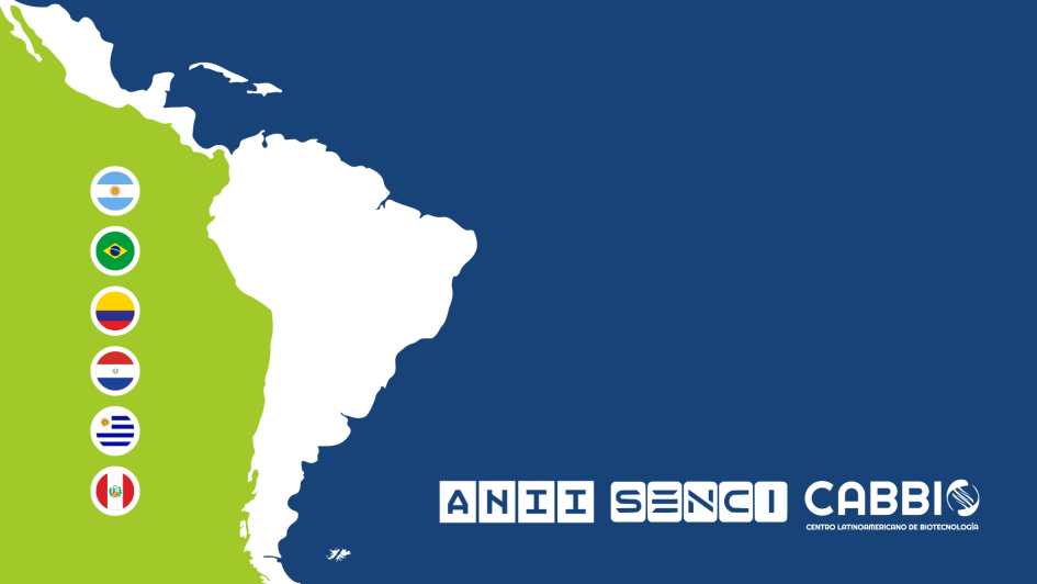 Banner de Cabbio Banner de Cabbio con banderas de paises integrantes e instituciones SENCI y ANII