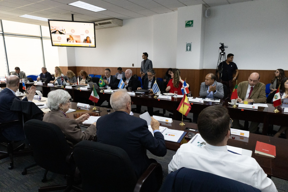 Sesión plenaria de la Asamblea General Extraordinaria de CYTED Delegaciones de países iberoamericanos participan en una sesión plenaria de la Asamblea