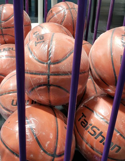 Pelotas de Basketball Pelotas de Basketball