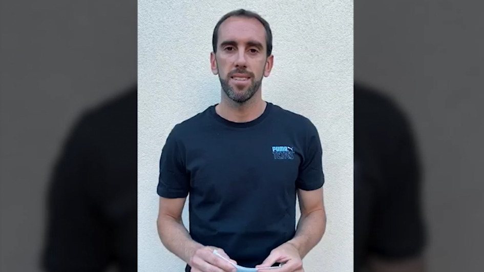 Futbolista Diego Godín Futbolista Diego Godín