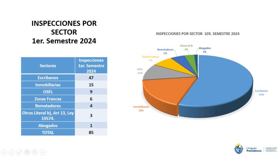 Insp 1er sem 24 Inspecciones por Sector 1er. Semestre 2024