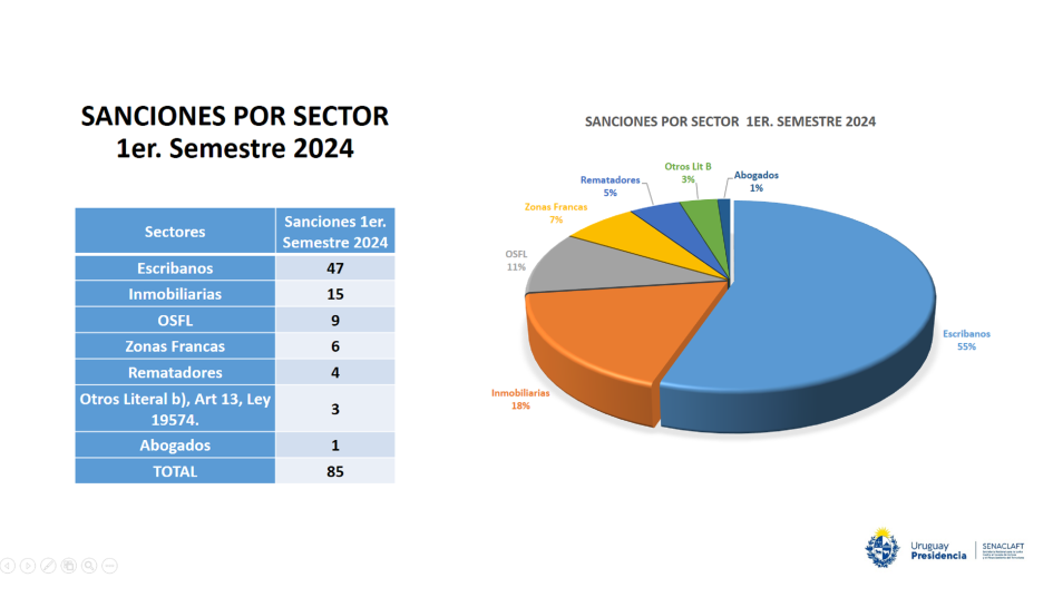 Sanciones por Sector 1er Semestre 2024 Sanciones por Sector 1er Semestre 2024