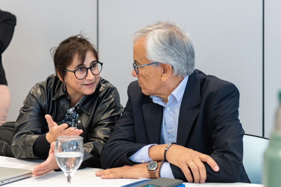 Presentación del Plan Nacional de Cuidados 2026-2030 Presentación del Plan Nacional de Cuidados 2026-2030