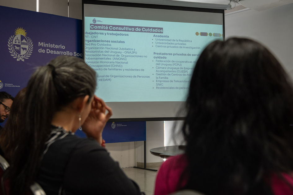 Presentación del SNIC en el marco del Encuentro de Aprendizaje entre Pares sobre Cuidados