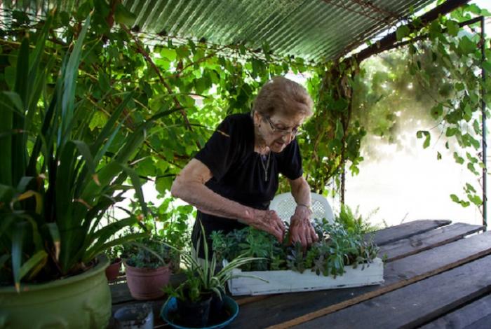 Mujer mayor arregla plantas en vivero