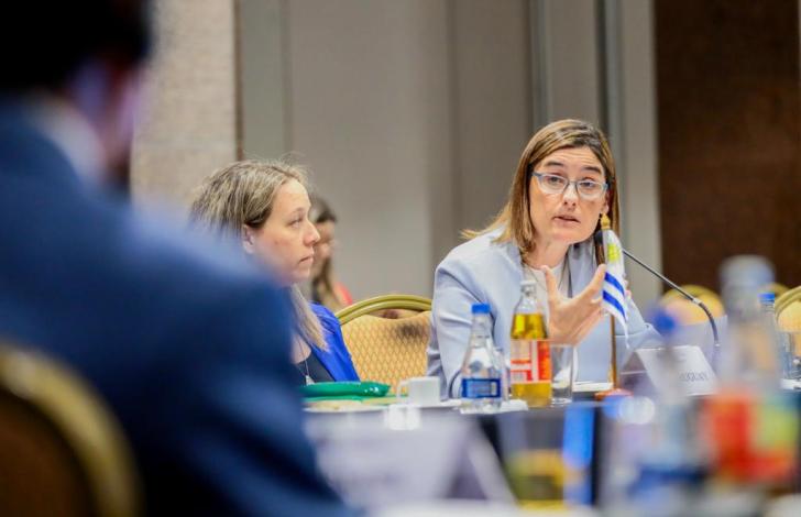 Florencia Krall en el Seminario del Mercosur sobre políticas y sistemas de Cuidados