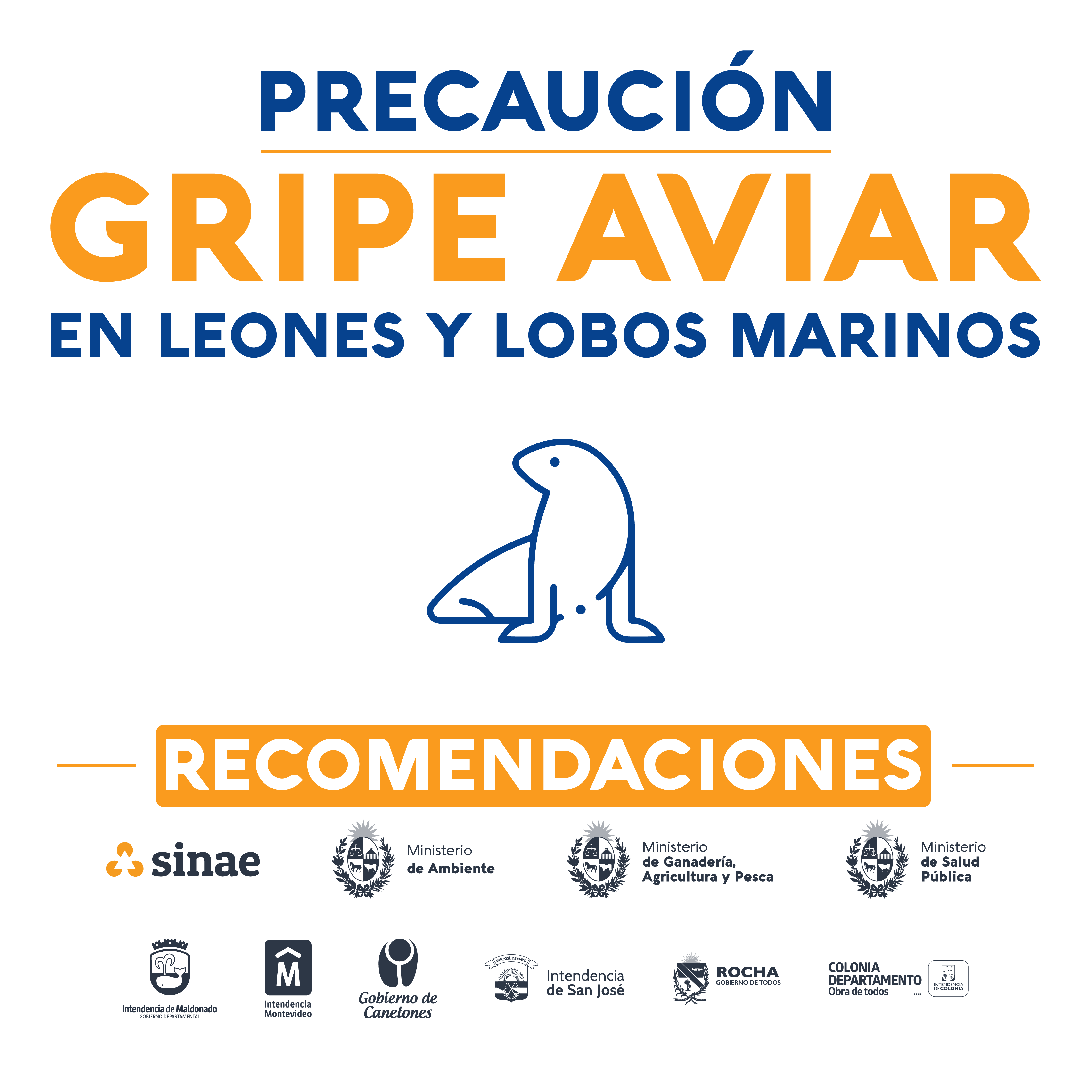 1-Gripe_Aviar_1080