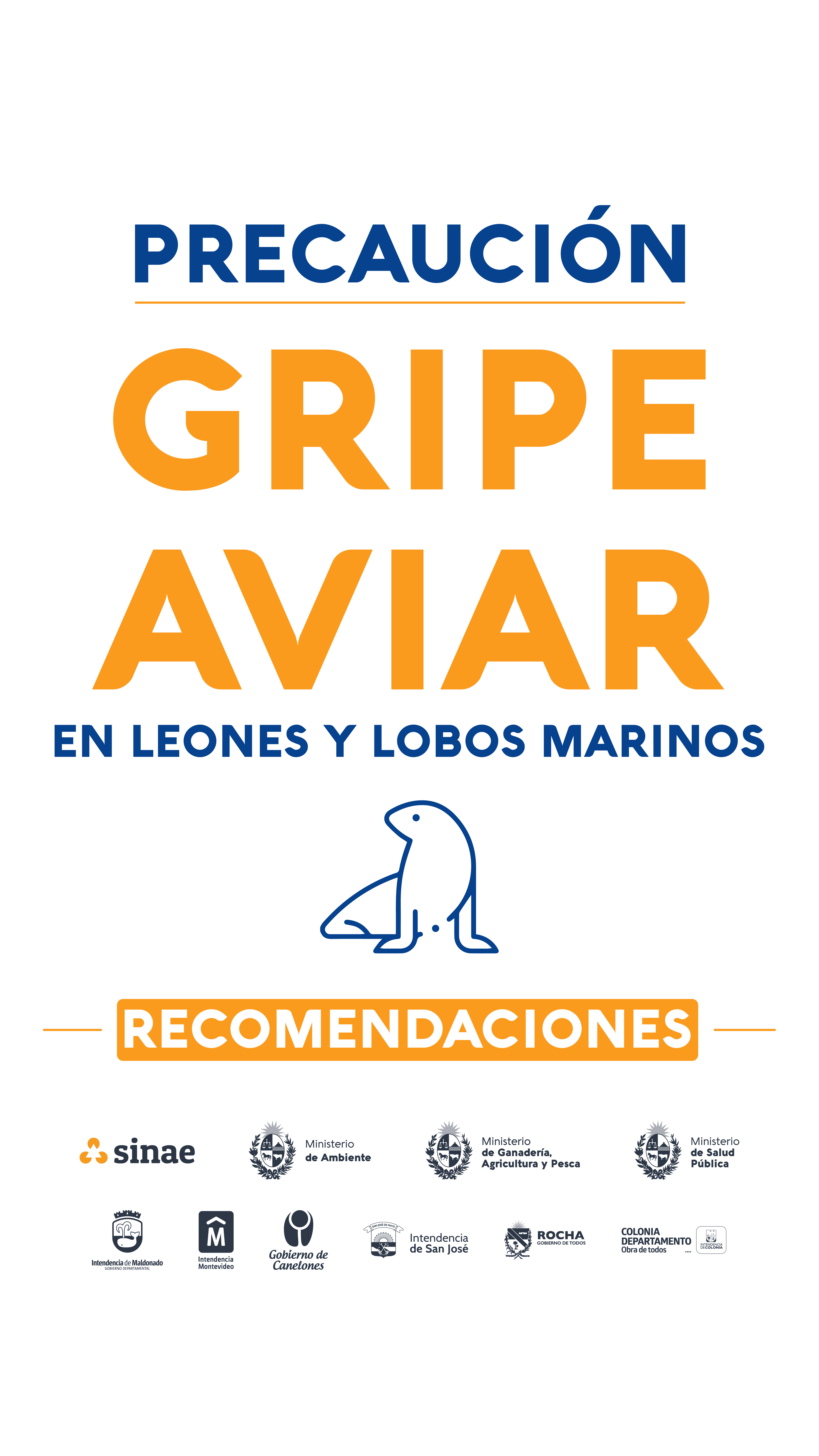 a-Gripe_Aviar_1920