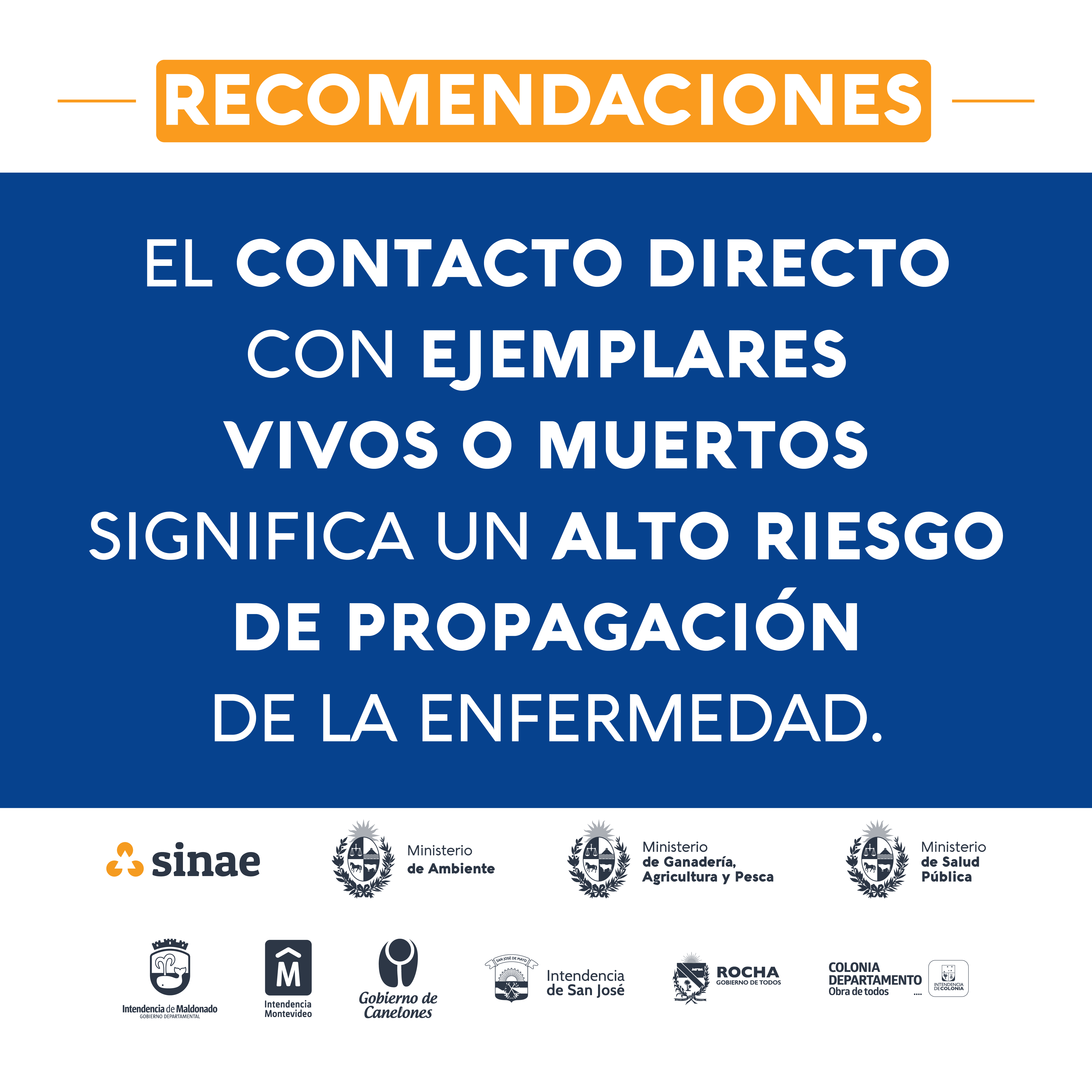 2-Gripe_Aviar_1080