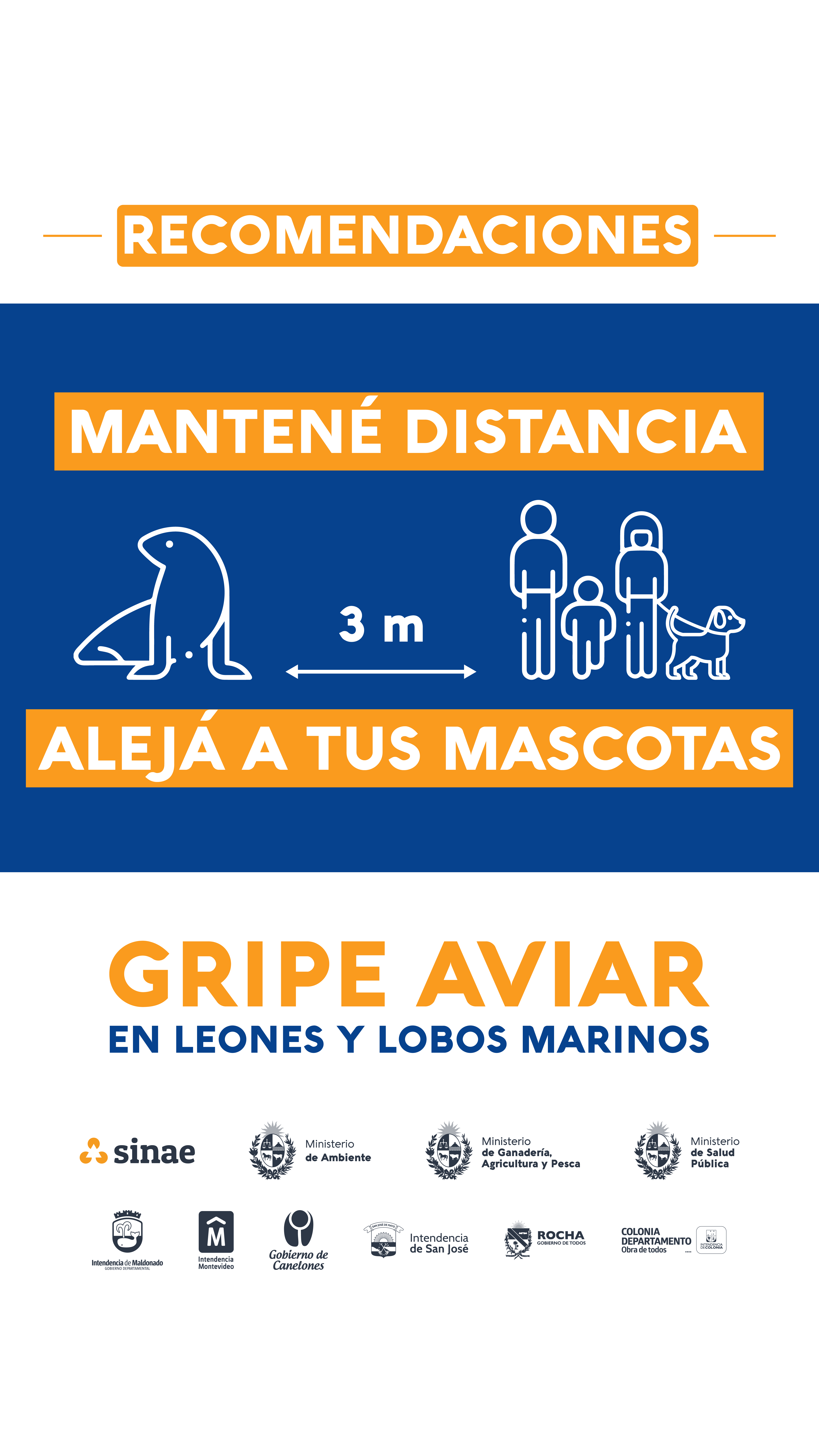 c-Gripe_Aviar_1920