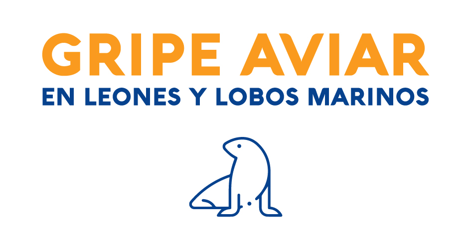 Gripe Aviar en Leones y Lobos Marinos