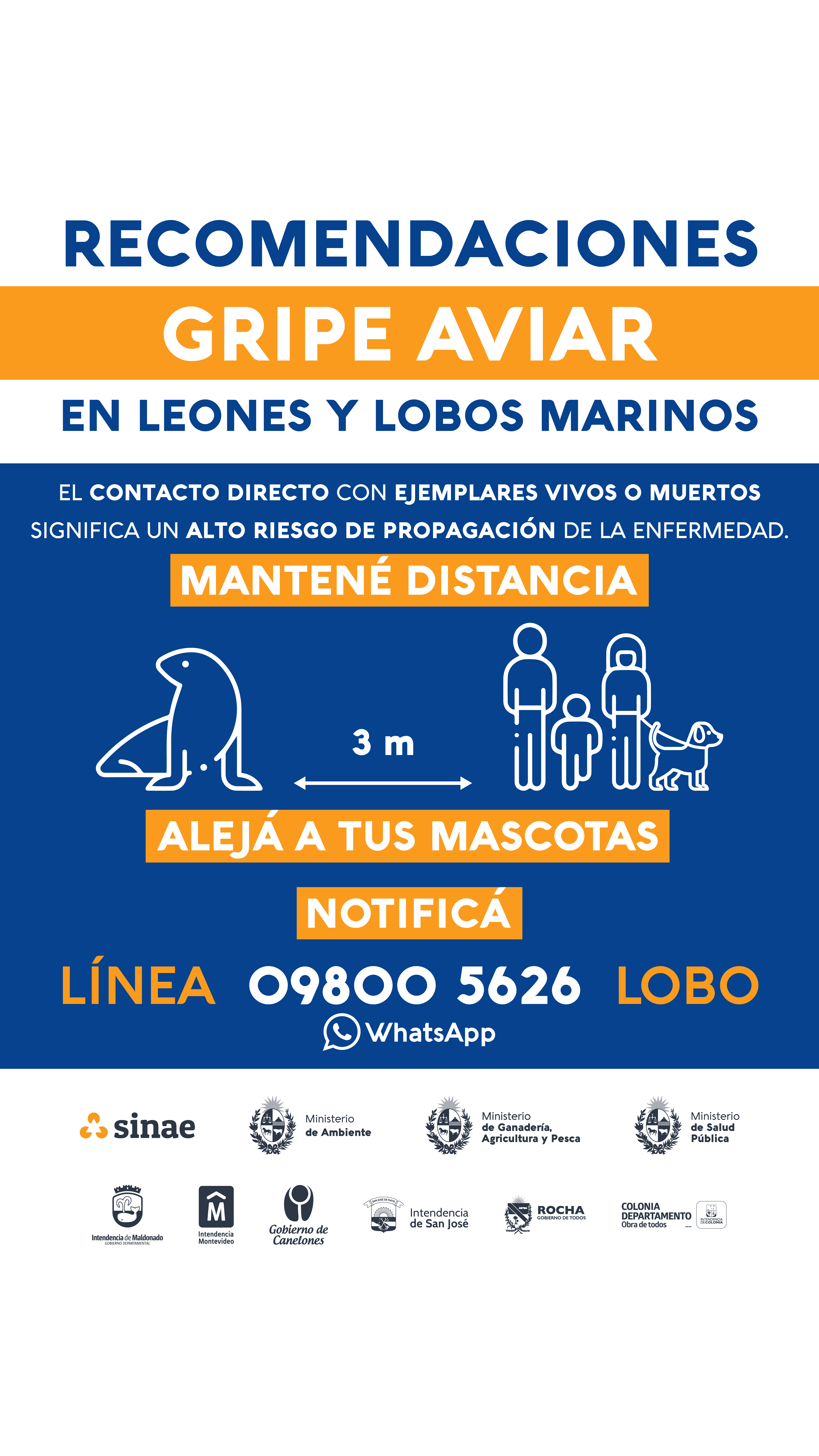 Info_total-Gripe_Aviar_1920