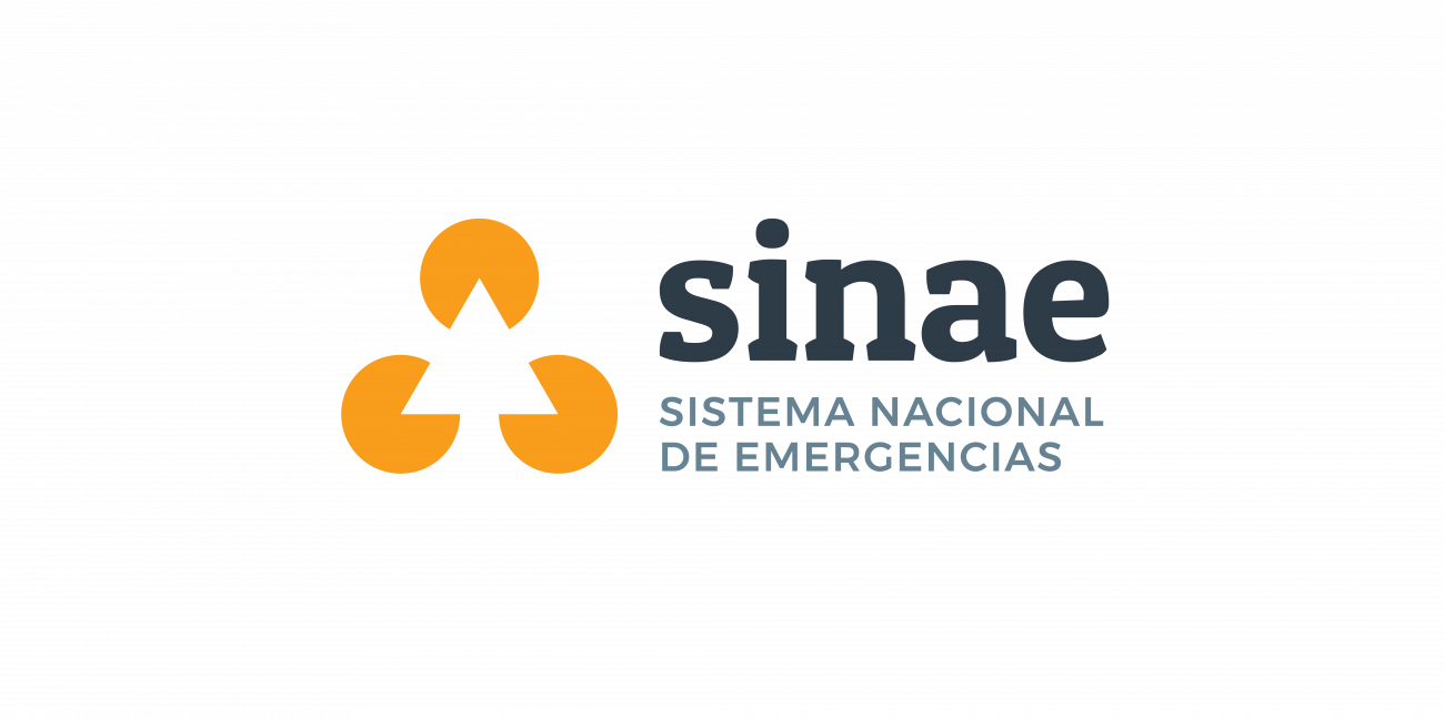 Logo del Sinae Logo del Sinae
